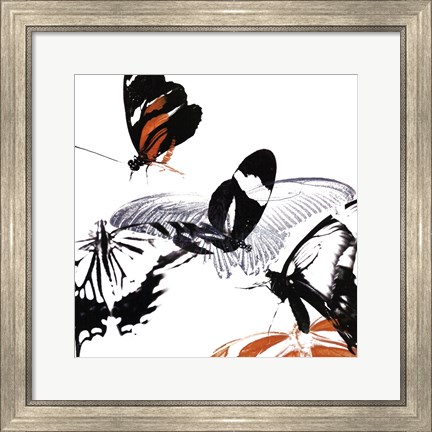 Framed Butterfly Inflorescence III Print