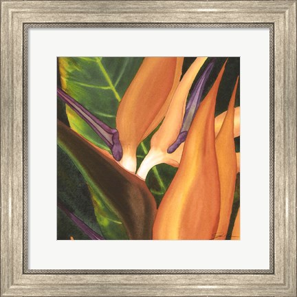 Framed Bird Of Paradise Tile I Print
