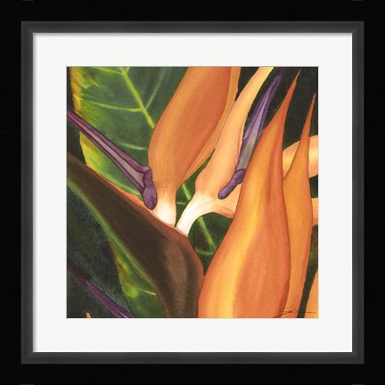 Framed Bird Of Paradise Tile I Print