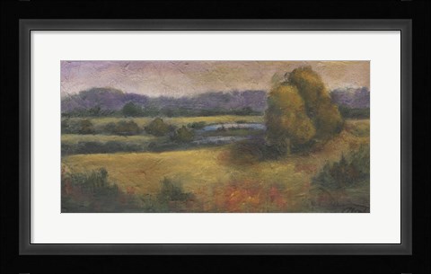 Framed El Dorado Lake II Print