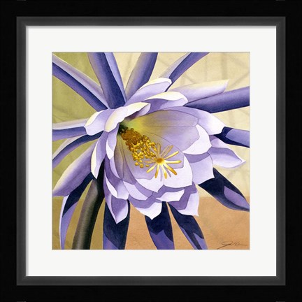 Framed Desert Bloom II Print