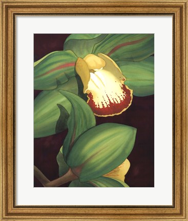 Framed Lime Orchid II Print