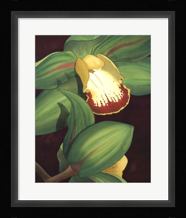 Framed Lime Orchid II Print