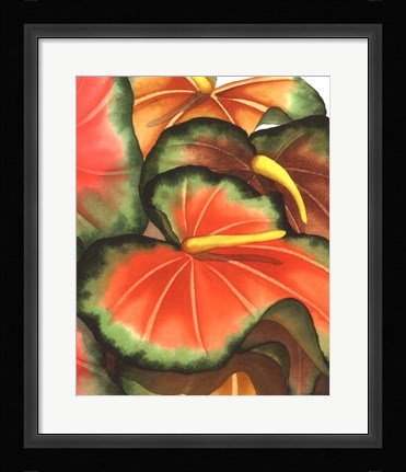 Framed Anthuria II Print
