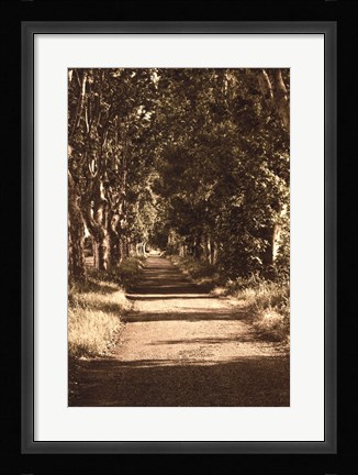 Framed Road to St.Remy Print