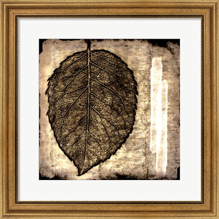Framed Fall Leaves III Print