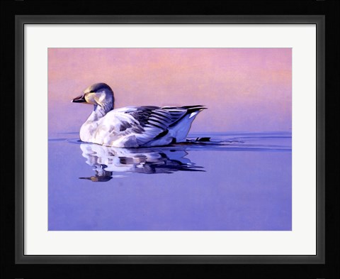 Framed Morning Glory Print