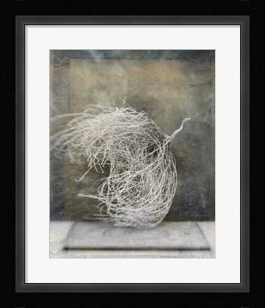 Framed Desert Form I Print