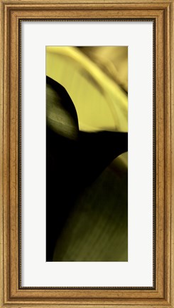 Framed Leaf Detail II Print
