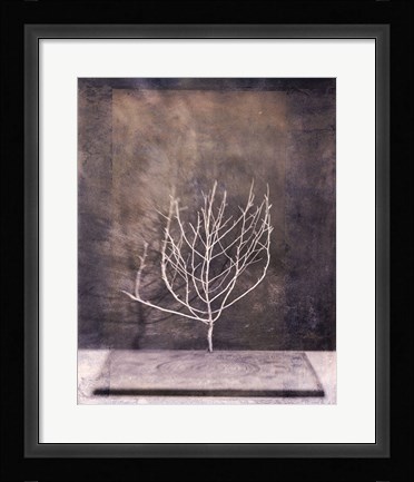 Framed Desert Form II Print