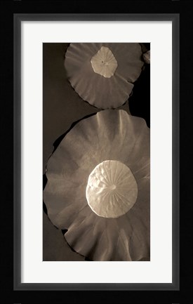 Framed Lotus I Print