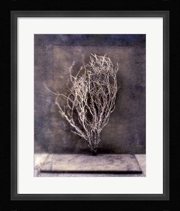 Framed Desert Form III Print