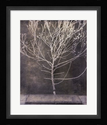 Framed Desert Form IV Print