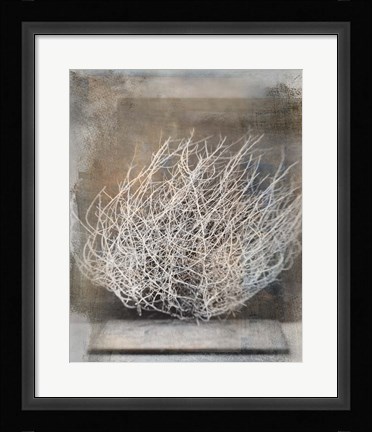 Framed Desert Form V Print