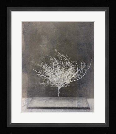 Framed Desert Form VI Print