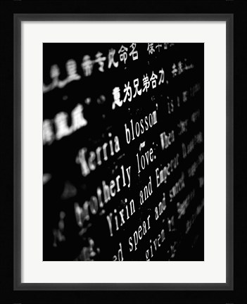 Framed Lithography I Print