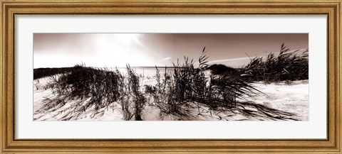Framed Wind in the Dunes I Print