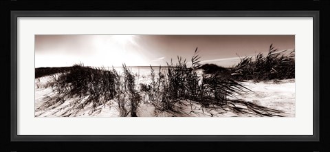 Framed Wind in the Dunes I Print