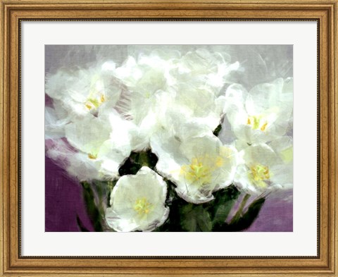 Framed Sunlit Tulips I Print
