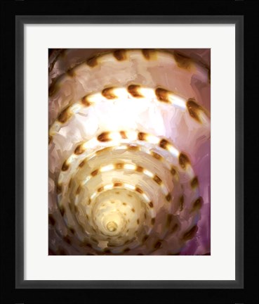 Framed Shell Extraction I Print