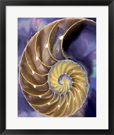 Framed Shell Extraction II Print