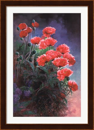 Framed Vibrant Poppies Print