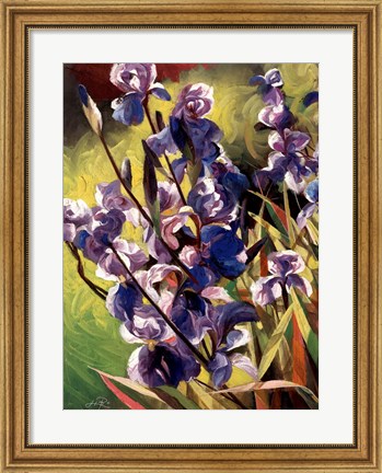 Framed Iris Garden I Print