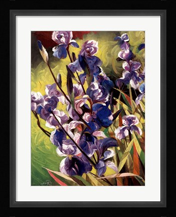 Framed Iris Garden I Print