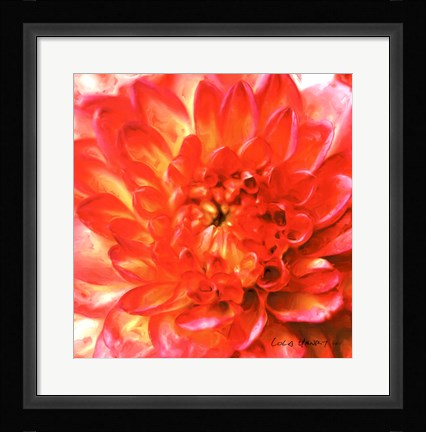 Framed Painterly Flower II Print