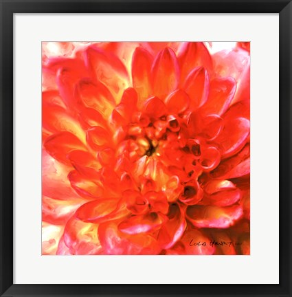 Framed Painterly Flower II Print