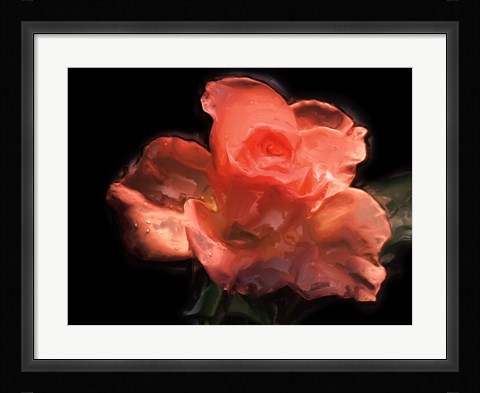 Framed Painterly Flower IV Print