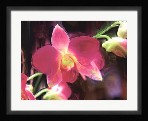 Framed Painterly Flower V Print