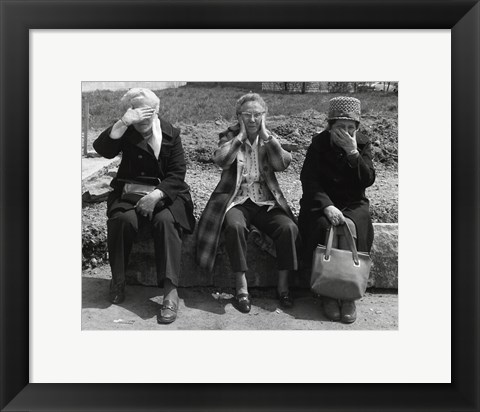 Framed No Evil Print