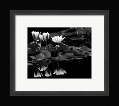 Framed Reflections on Water Print