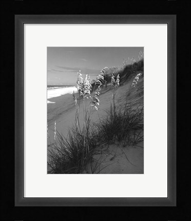 Framed Sea Oat Sparkle Print