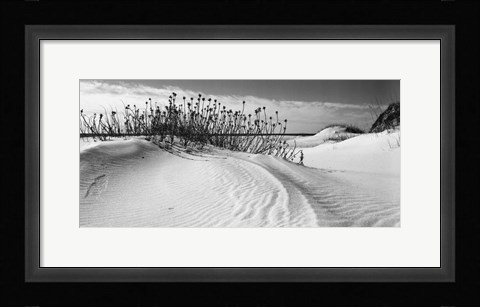 Framed Serebe Shorline Print