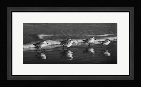 Framed Five Friends Print