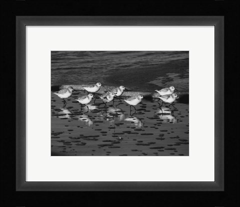 Framed Family Reunion Print