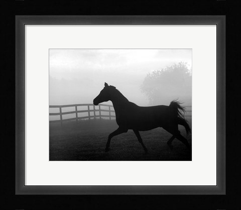 Framed Morning Pasture II Print