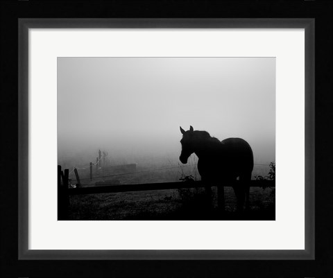 Framed Grazing in the Mist II Print