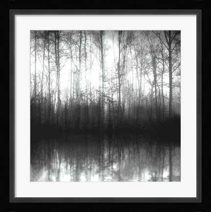 Framed Forest Mist Print