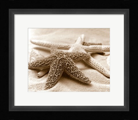 Framed Starfish Family Print