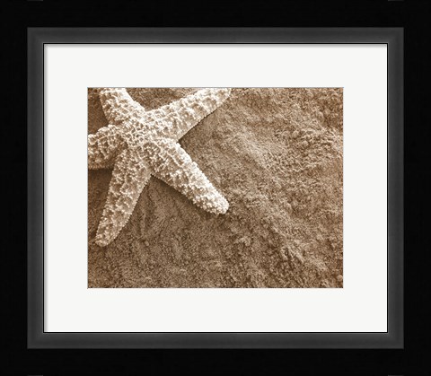 Framed Starfish in the Sand Print
