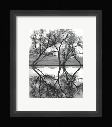 Framed Clarity in the Waters Print