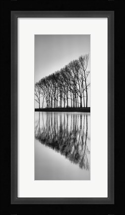 Framed Reflections Print