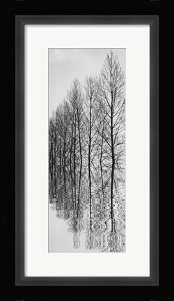 Framed Reflections II Print