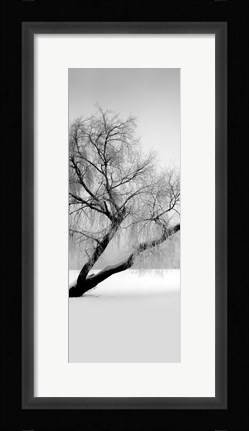Framed Solitude Print