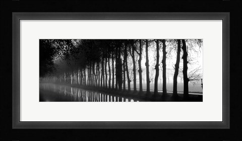 Framed Tree Lined Canal Print