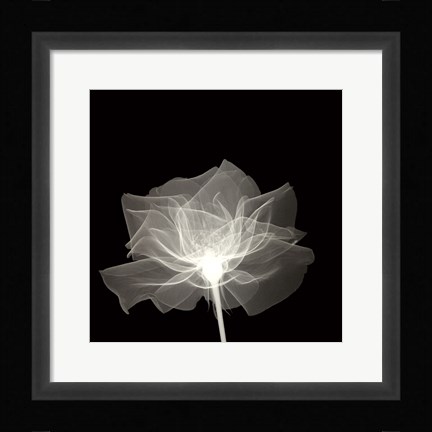 Framed Layered Veil Print