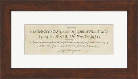 Framed Manuscript Sampler V Print